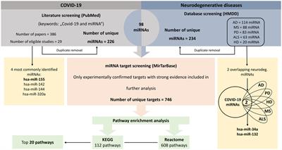 Shared miRNA landscapes of COVID-19 and neurodegeneration confirm neuroinflammation as an important overlapping feature